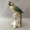 Karl Ens Parrot