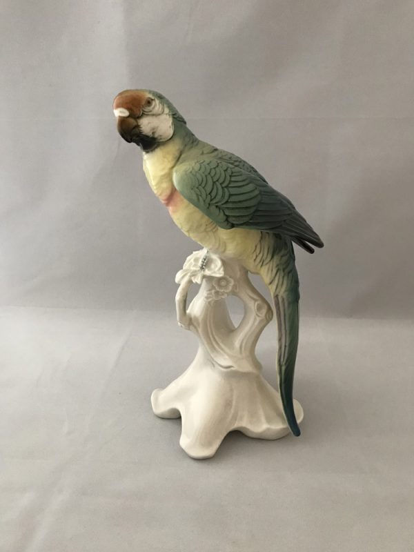 Karl Ens Parrot