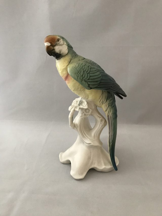 Karl Ens Parrot