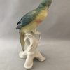 Karl Ens Parrot